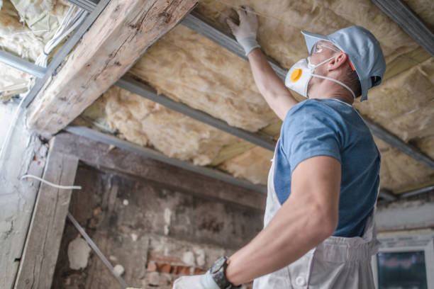 Best Insulation Maintenance and Repair in Unionville, GA