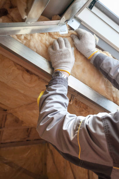 Best Eco-Friendly Insulation in Unionville, GA